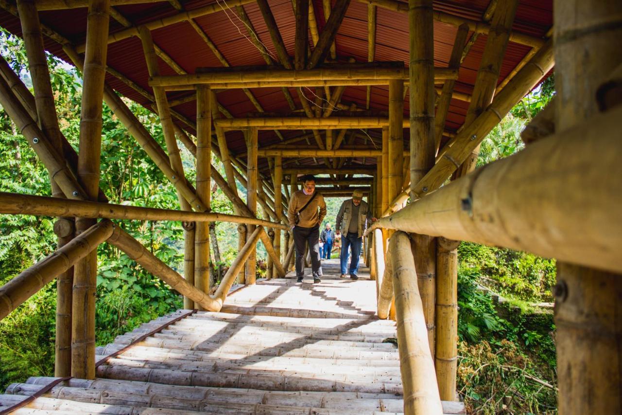 Hacienda Charrascal Coffe Farm Διαμέρισμα Manizales Εξωτερικό φωτογραφία