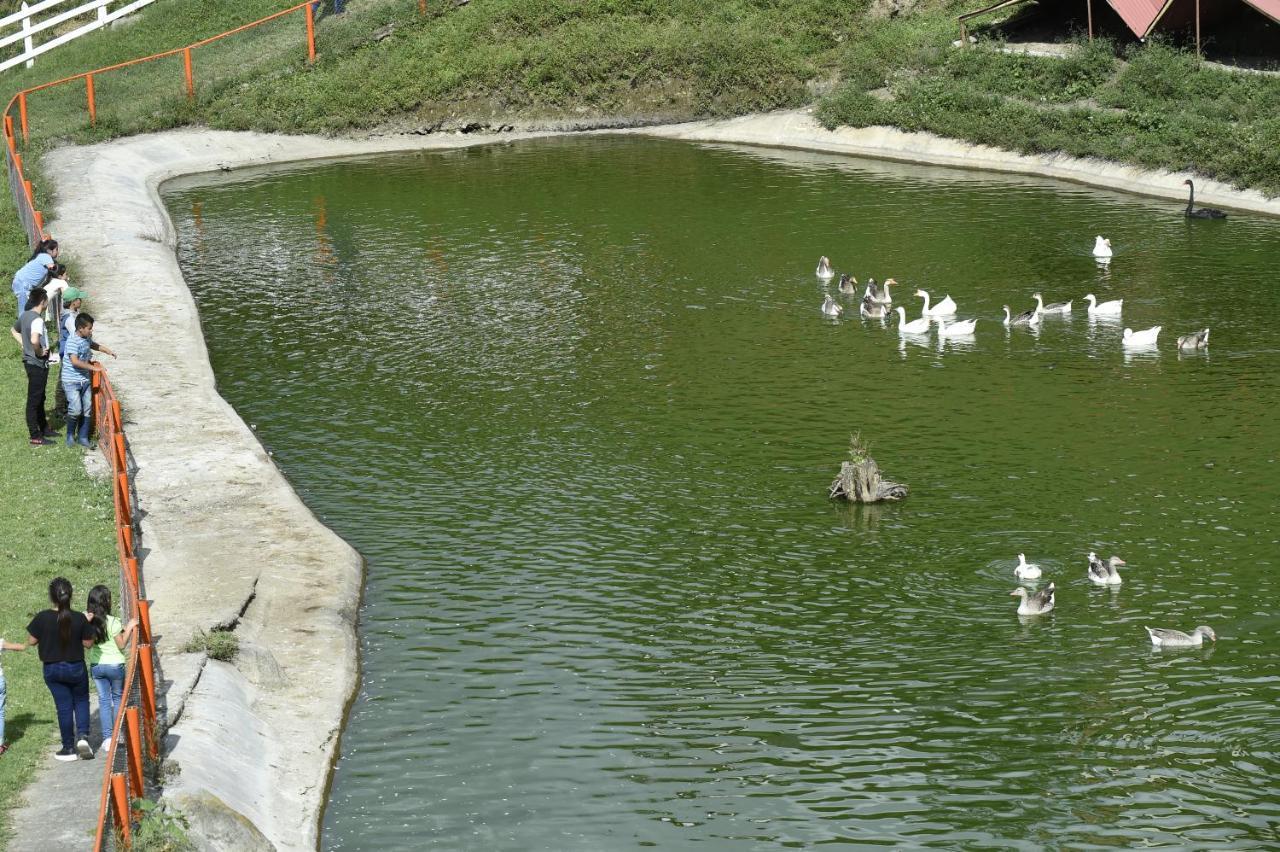 Hacienda Charrascal Coffe Farm Διαμέρισμα Manizales Εξωτερικό φωτογραφία